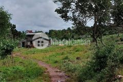 D824 bán đất xào cà phê thôn 6 xã hòa khánh giá 210 triệu 1 xào