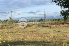 Cần bán lô đất kđt bậc nhất quảng trị.