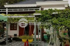 Ngộp tiên cuối năm cần bán gắp biệt thự vườn củ chi