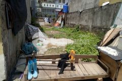 Bán đất tân mai 62m2, mt 5.5m, ngõ to, kinh doanh, ở sướng, nhiều tiện ích.