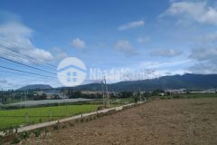 Chính chủ cần bán lô đất thổ cư tại tt thạnh mỹ đơn dương lâm đồng chỉ 650tr