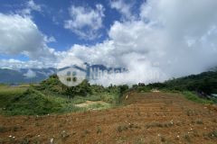 Tài chính dưới 3 tỷ sở hữu ngay lô đất tại mường hoasapa nơi ngắm ruộng bậc thang đẹp nhất vn