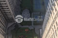 Căn hộ 1pn vinhomes ocean park. 46m2 giá chỉ 1.250 tỷ