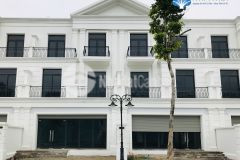 Tin được không biệt thự liền kề ngọc trai vinhomes ocean park giá chỉ 15.6 tỷ bp lh 0966.330.363