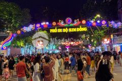 Bán gấp nhà phố tân mai 55m, mt 5,4m giá chỉ 8,5 tỷ oto,kd đầu tư bắt chấp cực hiếm.