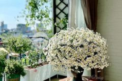 Bán nhà hẻm xe hơi 3,9 x10 bình hưng hòa, bình tân, 2.8 tỷ