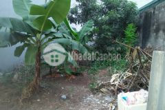 Bán đất cổ nhuế 75m x mt 6m, vị trí đẹp, phân lô, ô tô đỗ cửa, 5 tỷ, 0836646314.