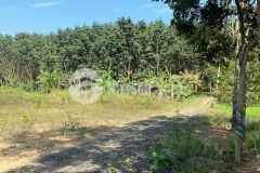 Đồng tiến đồng phú 1000m2 mặt tiền 12m sâu 85m dân cư bao quanh