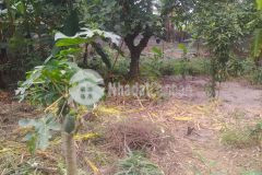 Cần bán lương sơn, hòa bình 1036m2, giá 1,9 tỷ