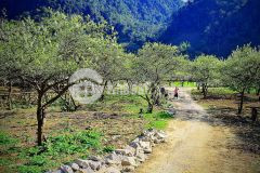 Chính chủ cần bán nhanh mảnh đất tại chiềng sơn mộc châu sơn la giá đầu tư