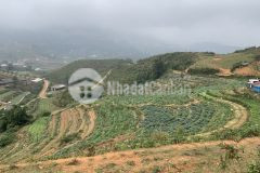 Bán mảnh đất 1.2ha tại sapa, pháp lý rõ ràng, an toàn cho các nhà đầu tư