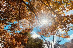 Đón sóng quy hoạch khu du lịch nghỉ dưỡng sapa 2