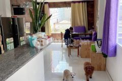 Bán gấp, mặt tiền kinh doanh đỉnh, bùi thế mỹ, tân bình, 40m2, 10,5 tỷ tl