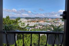 Bán biệt thự đẳng cấp 2 mặt tiền giá 80tỷ ở đồi thông tin, p8, đà lạt