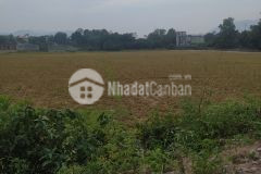 Đất lương sơn, hòa bình 1000m2, giá 4,8 tỷ