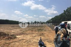 Chính chủ bể nợ banh bóng nên cần bán gấp miếng đất sào trả nợ