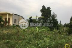 Mua bán nhà đất quảng trị.trung tâm tp đông hà. nguyễn hoàng,