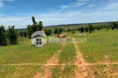 Bán lô đất diện tích nhỏ chỉ 646 triệu 4169m2, sổ đỏ sẵn, cách liên huyện chỉ 80m, vuông vức