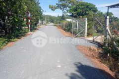 Bán lô đất ngang 5m, sổ riêng, full thổ cư tại hiệp thạnh gò dầu giá chỉ 350 triệu.