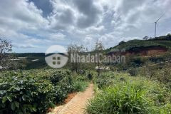 10.3 tỷ sở hữu 6644m2 đất ngay điện gió cầu đất view siêu xinh