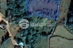 Đất thôn mò phú chải view rừng già cực thích hợp làm homestay