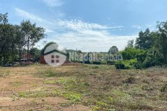 Đồng phú 350m2 chỉ 620 triệu sát đường liên xã chỉ 70m sổ sẳn