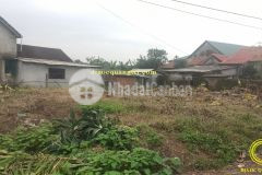 Cần tìm chủ cho 3 lô liền kề, thôn long hưng, xã hải phú, huyện hải lăng, tỉnh quảng trị