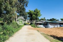 Duy nhất 1 lô đất gần 300m2 sẵn thổ cư chỉ 620 triệu tại lạc xuân, đơn dương