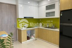 Cho thuê căn hộ cao cấp 2pn1vs tại vinhomes smart city tây mỗ, nam từ liêm