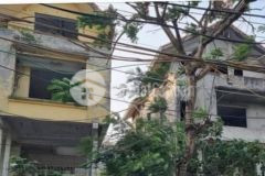 Bán nhà mặt tiền rộng,khu vực đống đa, dt325m2, mt12m. tiện xây tòa nhà văn phòng, khách sạn, biệt thự phong cách.