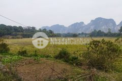 Bán đất nghỉ dưỡng tại chương mỹ hà nội. giá bán trong 10 ngày 2,9 triệu01m2.