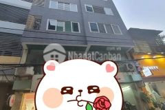 Bán nhà mặt phố xã đàn ô chợ dừa kinh doanh thang máy 80m 10t mặt tiền 9m giá 22 tỷ lh 0918289668