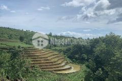 Mảnh đất 3.300m2 ngắm tuyết siêu đẹp tại sapa giá đẹp để đầu tư