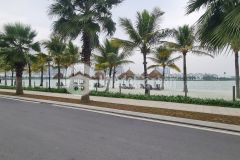 Biệt thự đẳng cấp vinhomes ocean park đẳng cấp sống thượng lưu