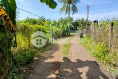 Đất diên lâm giá rẻ làm vườn hoặc phân lô