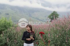 Bán cắt lỗ homestay gần 4000m2 tại tả van sapa cho các nhà đầu tư đón sóng quy hoạch