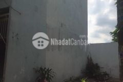 Đất quang trung, gò vấp, hẻm xe hơi đậu cửa 3,46x8,48 giá 3,16tỷ thương lượng, bán gấp