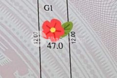 Bán nhà nhân mỹ 47m sổ hoa hậu chỉ 4 tỷ