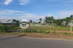 Chuyển nhà lên thành phố bán gấp đất thổ cư 100 chỉ với 269 triệu, gò dầu tây ninh.