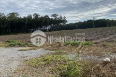 Đất gần sân bay long thành 1000m2 giá 400 triệu sổ sẵn