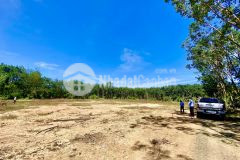 Đất sào giá rẻ,sổ sẵn,viu đẹp,hai mặt tiền tại xã đồng tiến đồng phú