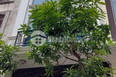 Phân lô siêu phẩm kinh điển sát hoàng quốc việt 60m2 x 8t thang máy nhỉnh 14 tỷ