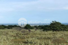 Bán 1,56 ha đất view biển phan rí thành, ngay hồ nước rạng đông, giá chỉ 1xxm2, lh 0937251240