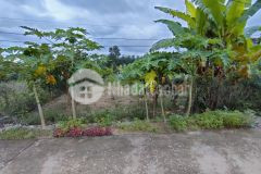 Đất sông cầu khánh vĩnh trung tâm khu dân cư