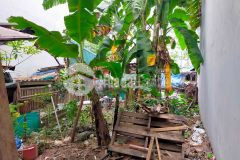 Long biên 40m2 đất 3.7m mặt tiền nở hậu đẹp tiện ích đầu tư tốt giá 45trm2.