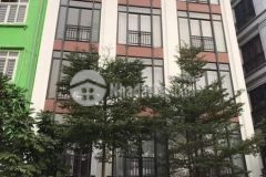 Bán nhà mặt phố đường bưởi ba đình 3740t150t2 x 5 tầng,mt giá 11.5 tỷ