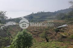 Mảnh đất tiềm năng tăng giá cực tốt view săn mây đỉnh nhất y tý