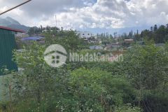 Cơ hội sở hữu 350m2 đất trung tâm sapa phù hợp nhiều loại hình kinh doanh