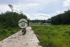 Kẹt tiền cần bán gấp đất gần thị trấn gò dầu mặt tiền đường bê tông chỉ 350tr cho ai thiện chí