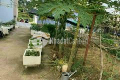 Bán lô đất sau ubnd xã vĩnh thạnh, nha trang giá 800tr